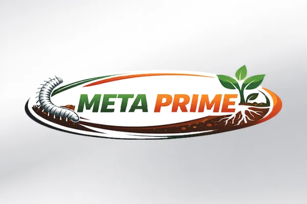 Meta Prime